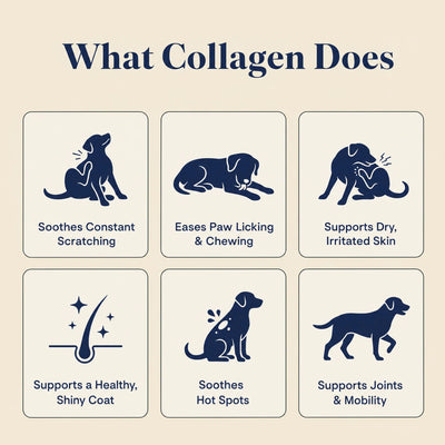Nutrishess Triple Collagen for Dogs