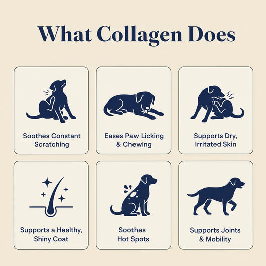 Nutrishess Triple Collagen for Dogs