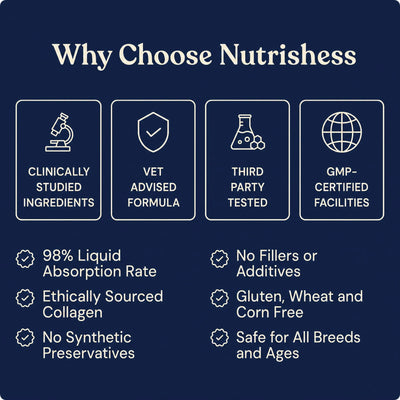 Nutrishess Triple Collagen for Dogs