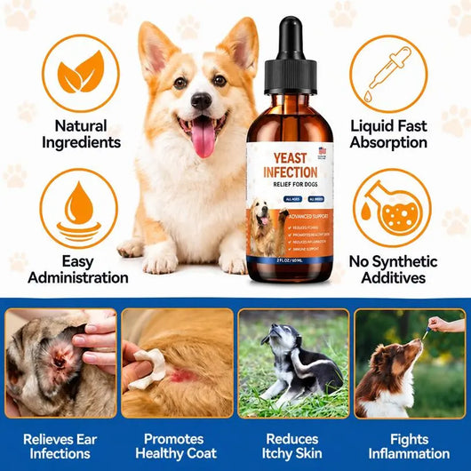 Yeast Defence Protocol for Dogs