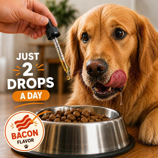 Yeast Defence Protocol for Dogs