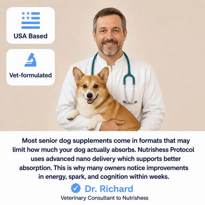 Nutrishess NAD+ Protocol for Dogs