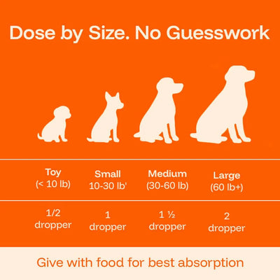 Nutrishess NAD+ Protocol for Dogs